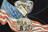 Delays in Visa Program Threaten...