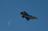 US Air Force outlines the fighter...