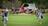 Judge extends tree-cutting block at...