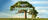 Earth911 Inspiration: Public Lands Are...