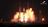 Incredible videos show Blue Origin...