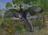 How did dinosaurs become birds? This...