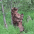 The Fat Bear Week winner is … Backpack!