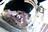Spacesuits, Lunar Agriculture, and...