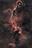 APOD: 2026 August 20 – The Elephant’s...