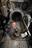 Expedition 75 Wraps Up Third August...