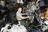 DNA-Inspired Treatments, Space...