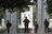 ‘Addicted to the Guard’: Generals call...