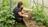Mulch 101: Mulching Your Soil for a...