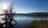 Rewilding the Suburb: Lagoon Valley’s...