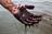 Oil Spill Cleanup Crews Face Hidden...