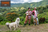 In Puerto Rico, New Farm Models Avoid...