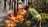 Pilot dies after firefighting ‌plane...