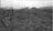 Link Roundup: The Atomic Bombings of...